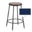 Picture of Stool, Steel, Adjustable Leg 25"-33"H, Nordic