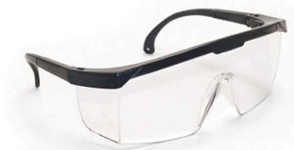 Picture of Glasses, Safety, Hornets Clear, Black Frame