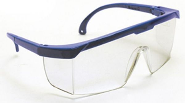 Picture of Glasses, Safety, Hornets Clear, Blue Frame