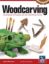 Picture of Book, Woodworking Tech & Proj f/1st Time Carver