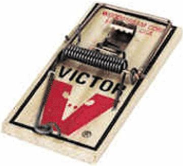 Picture of Mouse Traps Victor