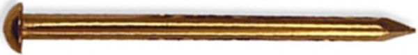 Picture of Pin, Escutcheon,Round Head, Brass 1/2"Lx18 Ga (approx 323)