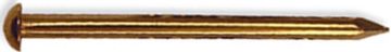 Picture of Pin, Escutcheon,Round Head, Brass 1"Lx16 Ga (approx 99)