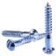 Picture of Screw, Wood, Slotted, Round Head, Steel 1"Lx10D