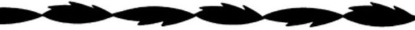 Picture of Blade, Scroll Saw, Spiral Tooth, Plain End 5"Lx.035"Wx41TPI