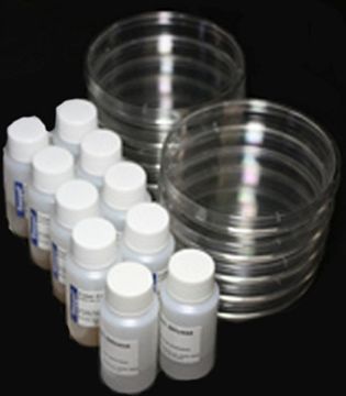 Picture of Easygel, Antibiotic Discs, Petri Dish 