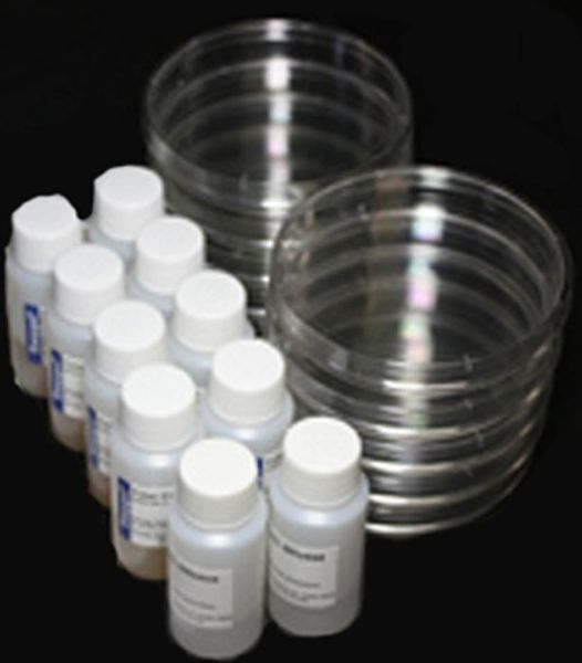Picture of Easygel, Antibiotic Discs, Petri Dish 