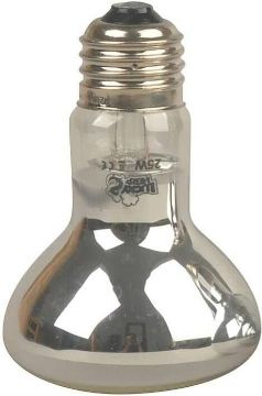 Picture of Bulb, Heat, 25W