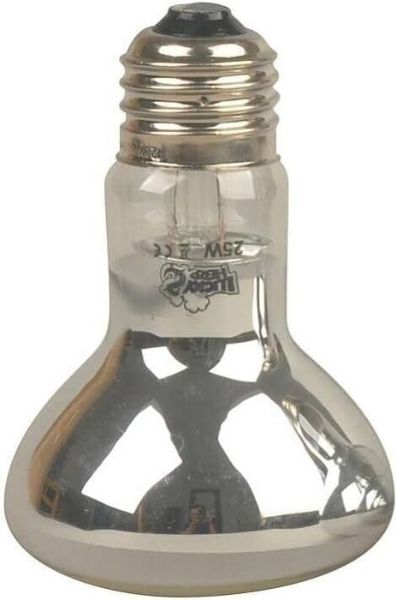 Picture of Bulb, Heat, 25W