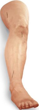 Picture of Limb, Suture Practice 