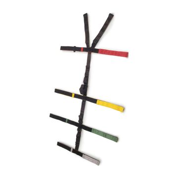 Picture of Spider Straps 