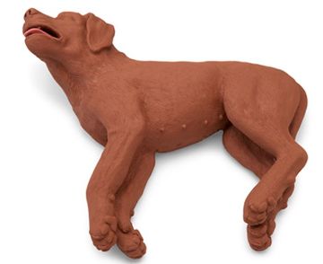 Picture of Dog, Mannequin, CasPeR 