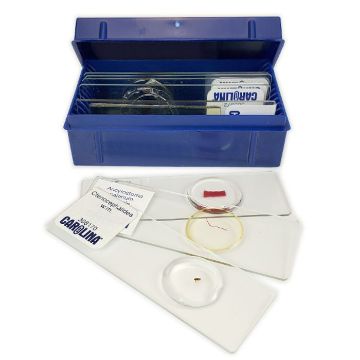 Picture of Slide, Microscope, Set/8 f/Veterinary Medicine
