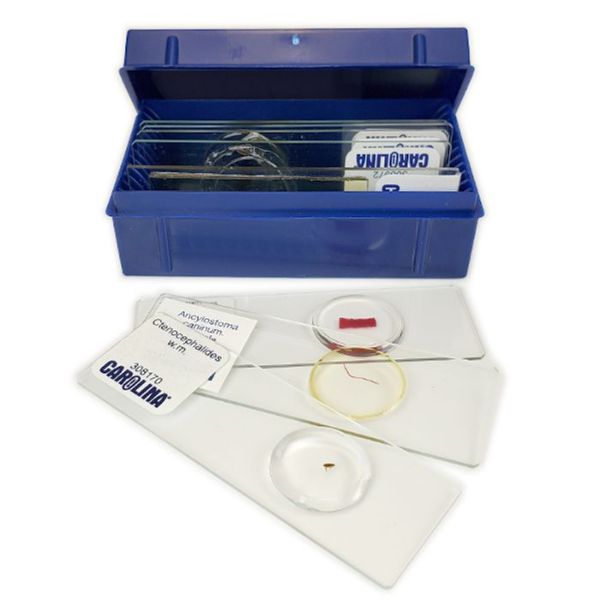 Picture of Slide, Microscope, Set/8 f/Veterinary Medicine