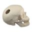 Picture of Classic Skull w/Drilled Holes Biomed Engineering