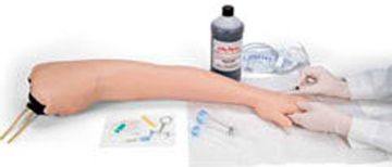 Picture of Arm, Venipuncture and Injection Adult