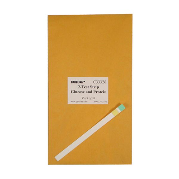 Picture of Test Strip, Glucose and Protein Pk 30